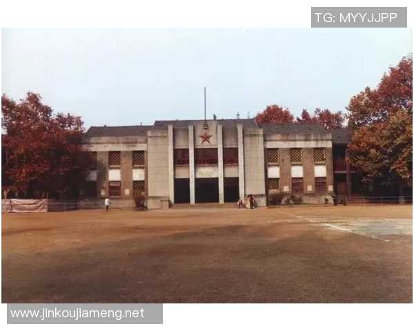 南京篮球队防守革新之路探索与实践的深度分析与展望